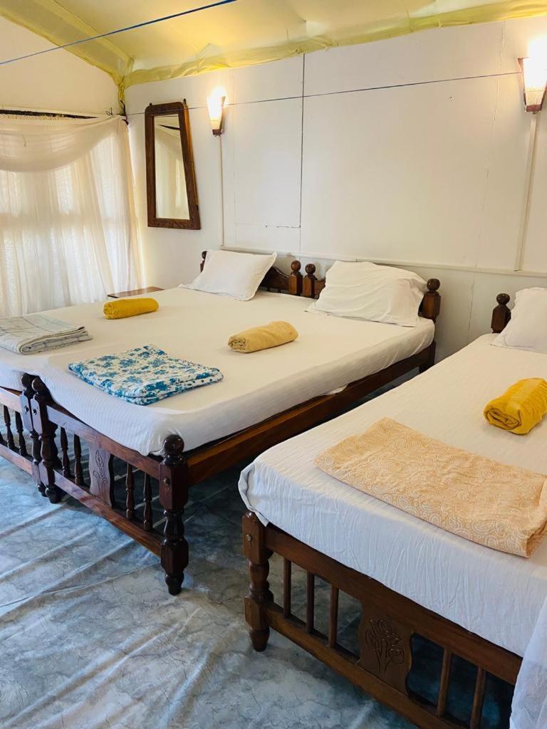 Tent Cressida Cyrus Bãi biển Bãi biển Palolem Phòng bức ảnh