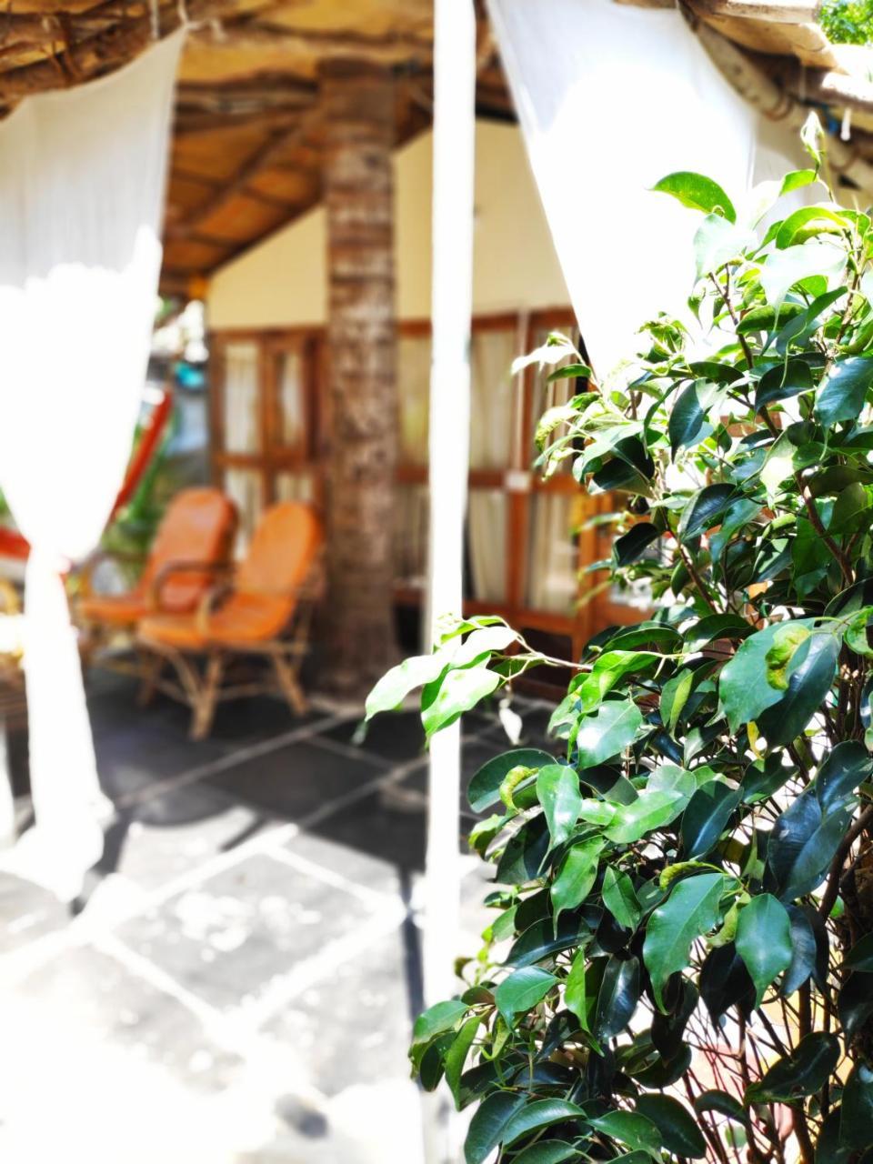 Tent Cressida Cyrus Bãi biển Bãi biển Palolem Ngoại thất bức ảnh